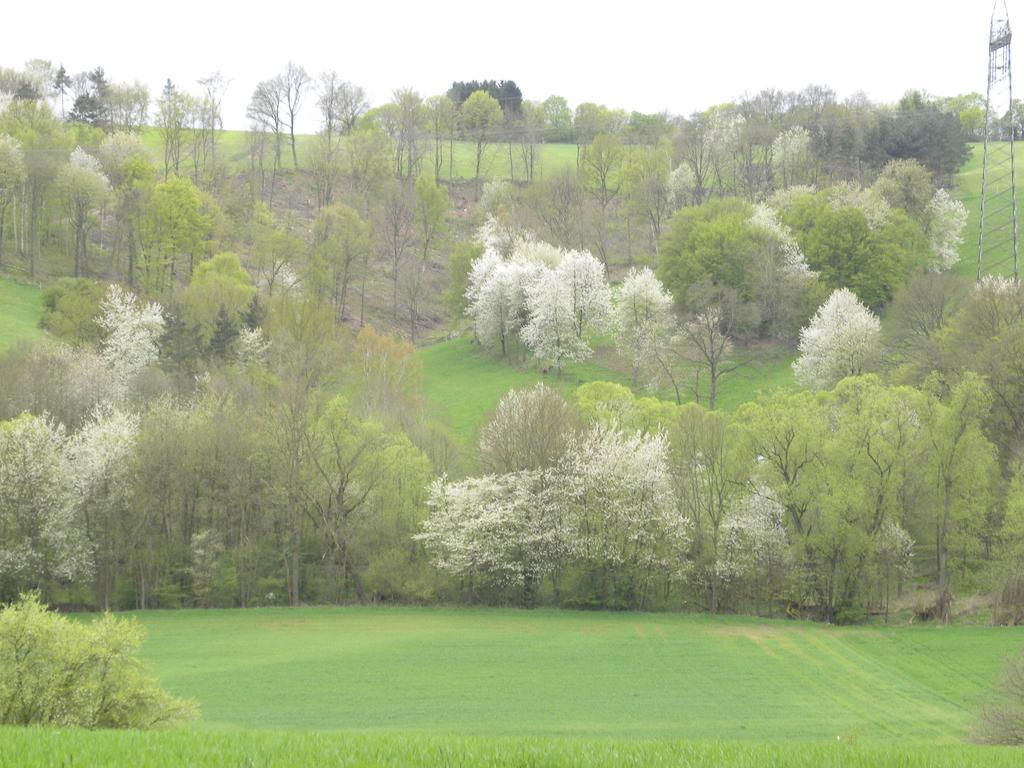 Thueringer Hof Hotel Richelsdorf Екстериор снимка